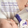 Lansinoh Baby Bottles for Breastfeeding Babies, with Slow Flow Nipples (Size 2S) - 5oz/3pk - 3 of 4