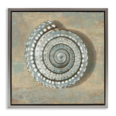 Stupell Industries Spiral Shell Beach Objects Design, 25" x 25"