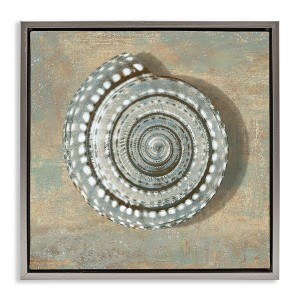 Stupell Industries Spiral Shell Beach Objects Design, 25" x 25" - 1 of 4