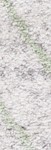 grey/green