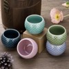Unique Bargains Ceramic Thick Good Heat Preservation Traditional Design Tea Bowl 1 Pc - 4 of 4