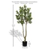 Maggift Artificial Plant Large Artificial Curved Branches of Green Plants Simulate Courtyard Garden Decoration Door 1set , Green, 67"*21.6"*63" - 3 of 4