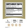 BulkSupplements Turkey Tail Mushroom Extract Powder - 2 of 4