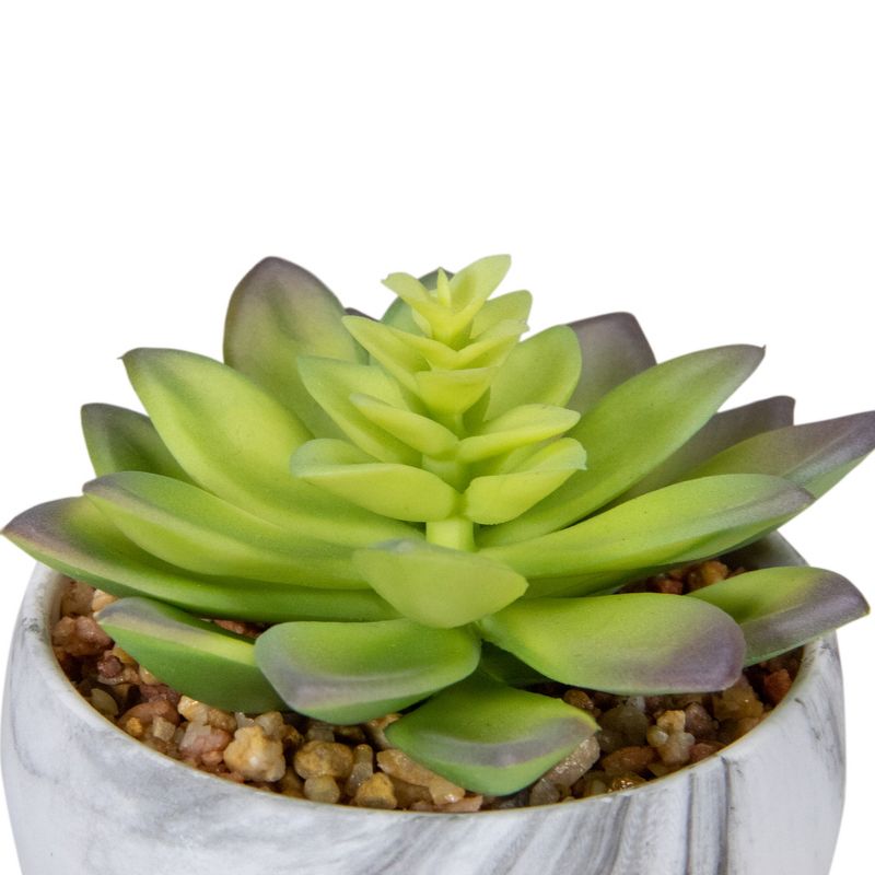 Northlight 4" Green and Purple Artificial Succulent in Faux Marble Pot, 4 of 6