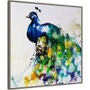 30" x 30" Peacock Plumes and Feathers by Sydney Edmunds - Amanti Art: Modern Lithograph Canvas - 2 of 4
