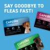 Capstar (Nitenpyram) for Dogs - image 4 of 4