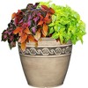 Classic Home and Garden Indoor/Outdoor Round Corinthian Resin Flower Pot Planter - 3 of 4