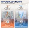 Airsurfer 20" Ceiling Fan with Remote, 6-Speed Reversible Motor, LED Light, Timer, Quiet DC Motor, for Summer & Winter Use - 3 of 4