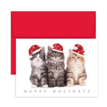 Masterpiece Holiday Collection 16-Count Christmas Cards, Christmas Kittens