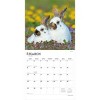 BrownTrout Honey Bunny 2026 12"x24" Hanging Square Wall Calendar Plastic-Free - 3 of 4
