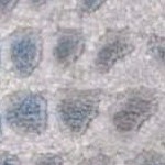beige/blue
