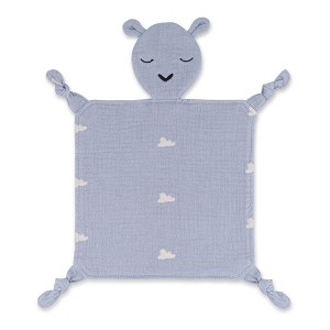 Parker Baby Co. Muslin Lovey - Windy - 1 of 4