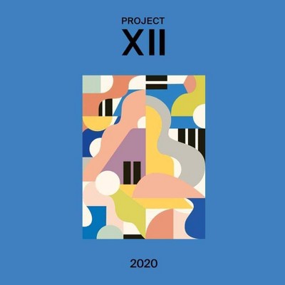 Various Artists - XII 2020 (LP) (Vinyl)