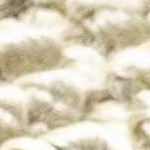beige, medium brown, sage, gray