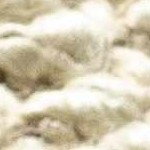 beige, medium brown, sage, gray