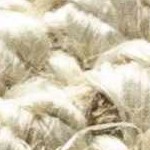 beige, medium brown, sage, gray