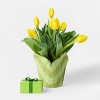 6" Potted Tulip - Good Little Garden™ - 2 of 3