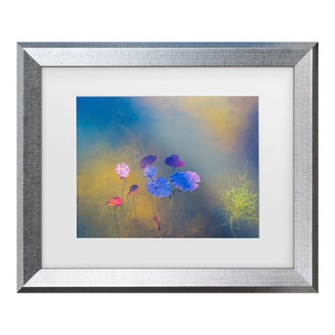 Bernardine De Laat Water Life Matted Framed Art : Target