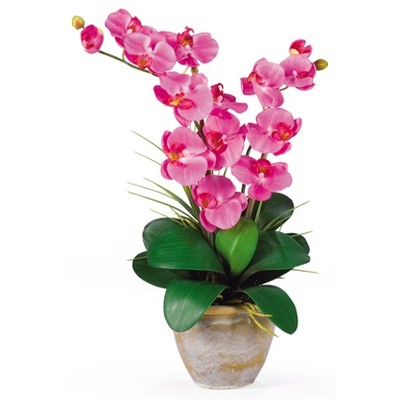 Nearly Natural Double Phalaenopsis Silk Orchid Flower Arrangement, Dark ...
