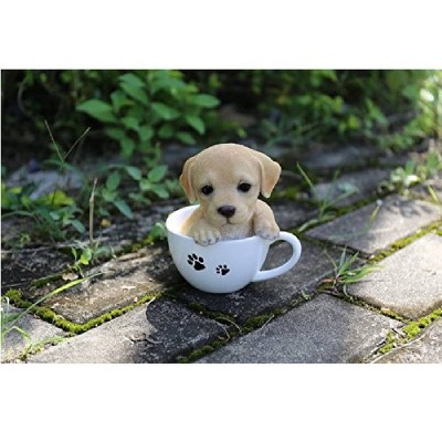 teacup labrador puppy