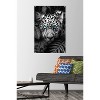 Trends International Reinders: Animals - Blue Eyed Leopard Unframed Wall Poster Prints - 2 of 4