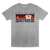 MLB Houston Astros Toddler Boys' 2pk Gray T-Shirt - 2 of 3