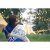 NCAA Indiana State Sycamores Ultra Soft Tailgate Throw Blanket - 2 of 2