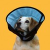 KVP International Calmer Collar - Small - 3 of 3