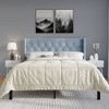 ChaletPosh Velvet Upholstered Bed with 2 Nightstands - 2 of 4