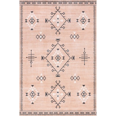 Evalyn Pink Southwestern Washable Synthetic Area Rug 3' x 5'