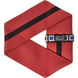 Katie's Bumpers Frequent Flyer Triangle Firehouse Dog Toy, Assorted - 1 of 2