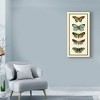 Trademark Fine Art -Chariklia Zarris 'Butterfly Collector Vi' Canvas Art - 3 of 4