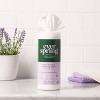 Lavender & Bergamot Multi-Surface Cleaning Wipes - 35ct/3pk - Everspring™ - 2 of 4