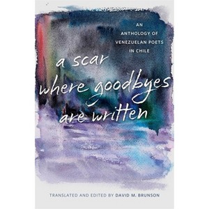 A Scar Where Goodbyes Are Written - by  David M Brunson (Paperback) - 1 of 1