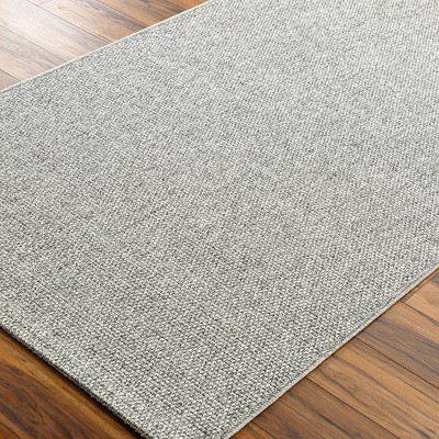 Birdie Gray Synthetic Rectangular Indoor/Outdoor Area Rug 3'10" x 5'7"