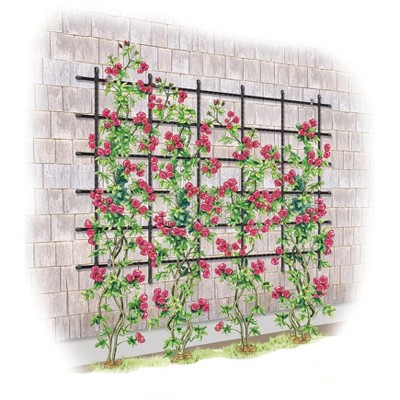 Titan Customizable Wall Trellis - GARDENER'S SUPPLY CO.