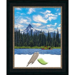 Amanti Art Paragon Bronze Picture Frame - 1 of 4