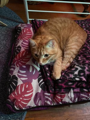 Guest review image 4 of 4, zoom in