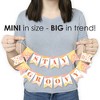 Big Dot of Happiness Stay Groovy - Boho Hippie Party Mini Pennant Banner - Stay Groovy - 3 of 4