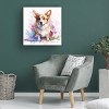 Canvas Wall Art - Frank Harris 'Corgi Master' Wall Art for Living Room, Bedroom, or Office Décor by Trademark Fine Art - 14 x 14 Inches - 4 of 4