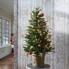 National Tree Company First Traditions 4' Pre-Lit LED Feel Real Scotch Creek Fir: Indoor/Outdoor Decorative Potted Tree - 2 of 4