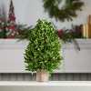 Natural Boxwood Foliage Topiary 15.5"H - 2 of 3