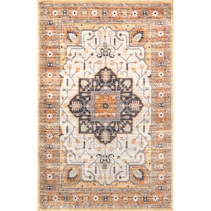 Nuloom Cira Traditional Vintage Pet Friendly Machine Washable Area Rug - 1 of 4