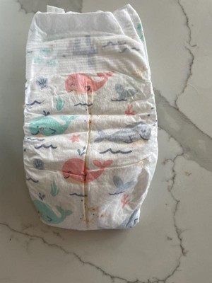 Guest review image 2 of 2, zoom in