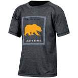 NCAA Cal Golden Bears Boys' Gray Poly Pixel T-Shirt
