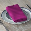 Slickblue Polyester Poplin Napkins 18"x18", Serged Edge, Event or Daily Table Use, 41 Color Options – Set of 4 or 10 - 2 of 4