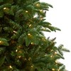 Nearly Natural 8-ft South Carolina Spruce Artificial Christmas Tree with 700 White Warm Lights and 3412 Bendable Branches - 3 of 4