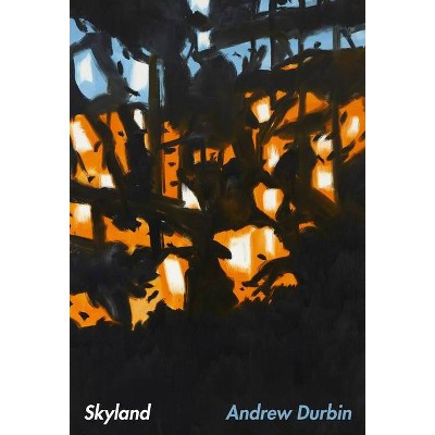 Skyland - by  Andrew Durbin (Paperback)