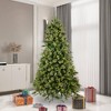 7.5ft Pre-Lit Cashmere Pine Full Artificial Tree LED Warm White - Vickerman - 4 of 4