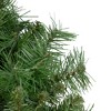 Northlight Chatham Pine Artificial Christmas Wreath, 24-Inch, Unlit - 3 of 4